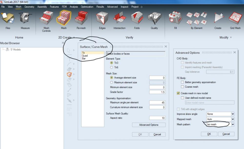 Simlab surface mesh.JPG