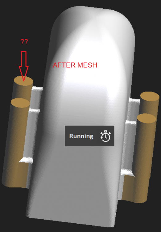 AFTER MESH.PNG